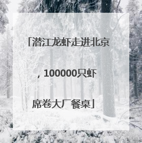 潜江龙虾走进北京，100000只虾席卷大厂餐桌